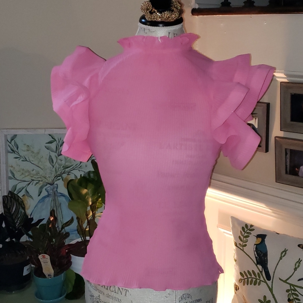 Ruffle Sleeve Blouse